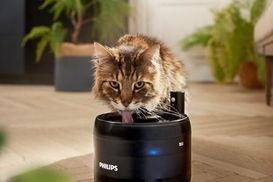 Frisches, fließendes Wasser