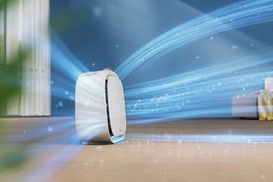 Schnelle Tierhaarentfernung