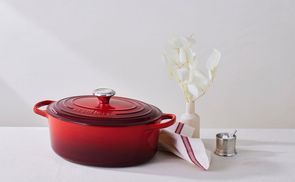 Emailliertes Gusseisen