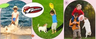 Farbenfroh und gut sichtbar