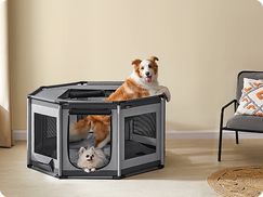 Deckel und Tür öffnen