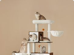 All in one Spielplatz für jede Katze