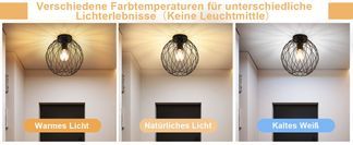 die einfach und leicht verständlich sind