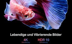 4K Decodierung & HDR10