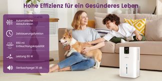 Entfeuchter – Praktisch gegen Feuchte