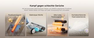 Umfassende Geruchsvermeidung