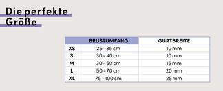 Die perfekte Größe für deine Fellnase