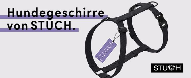 Robustes und stufenlos einstellbares Hundegeschirr 100% Vegan PeTA Zertifiziert