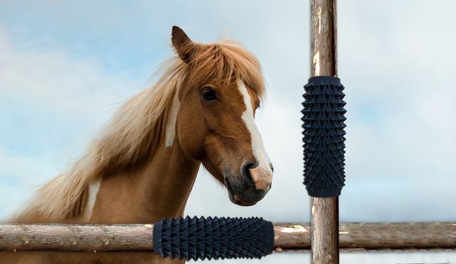 Massagebürste 2Stk Equine Scratcher für Pferde, Rinder Tiere Rückenkratzer 
