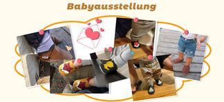 Praktisch & Vielseitig