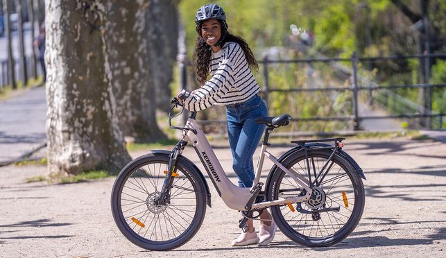 Danster E-bikes - Your friendly friend