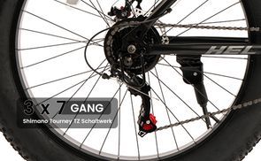 21 Gang Schaltwerk