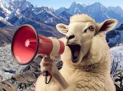 Handgefertigte Schafwollstrickjacken