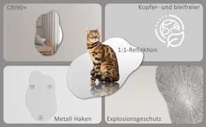 BOROMAL Professionalität