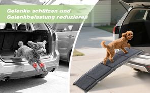 Maximale Länge schont die Gelenke Ihres Hundes.