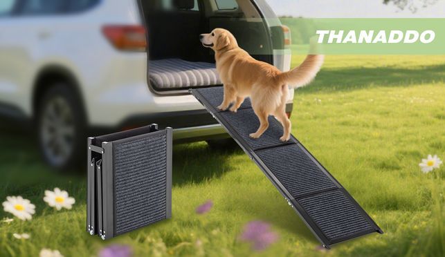 Hochwertige Auto Hunderampe