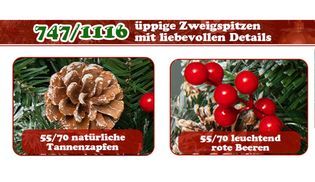 Kiefernzapfen und rote Beeren