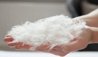 Warum lieben wir, was wir tun?