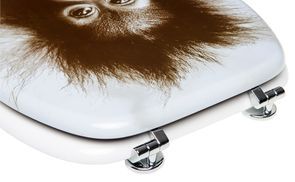 Verstellbare Scharniere