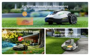 Intelligent obstacle detection and avoidance