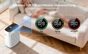 Echtzeit Luftqualitätsanzeige