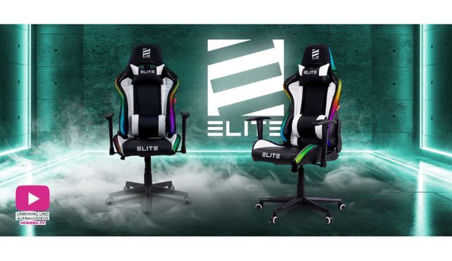ELITE Gaming Gaming-Stuhl Ergonomischer Bürostuhl Destiny inkl