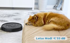 Eine ruhige Reinigung