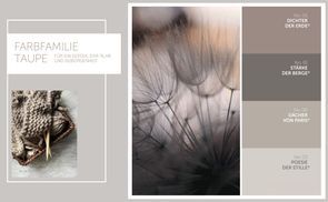 Farbfamilie Taupe – Für ein Gefühl der Ruhe und Geborgenheit