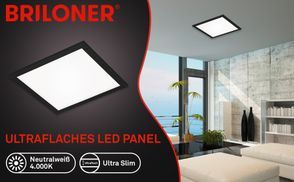 Puristische Schönheit