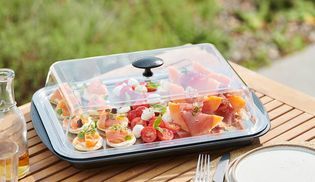 Schutzhaube gegen Insekten und Verunreinigungenv