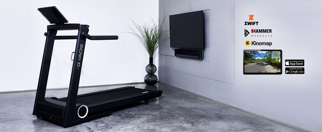 HAMMER Laufband Q. Vadis 10.0