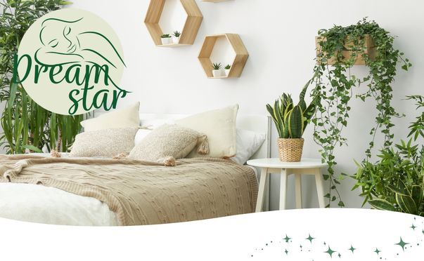 Dreamstar Taschenfederkernmatratze Gold