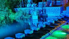 Das ganze Jahr am Teich