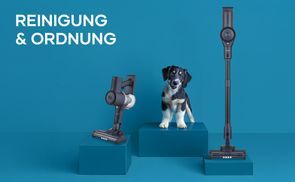 Reinigung & Ordnung