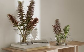 INSPIRIERT VON IKEBANA