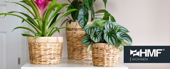 The HC Companies Klassischer Blumentopf Aus Kunststoff – Rund, UV-beständig – Mit Drainagelöchern – 21,6 X 21,6 X 17,8 Cm – Für Innen & Außen