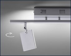 Ein Paradebeispiel höchster Anpassungsfähigkeit. 