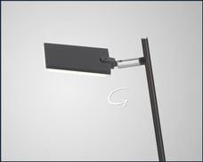 Ein Paradebeispiel höchster Anpassungsfähigkeit. 