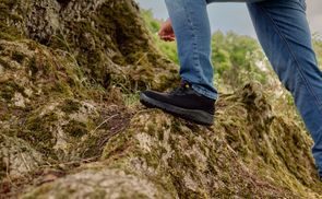 Maximale Langlebigkeit