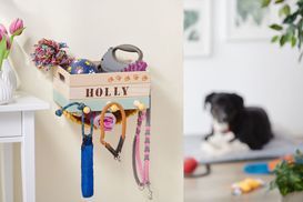 Viele Funktionsmöglichkeiten