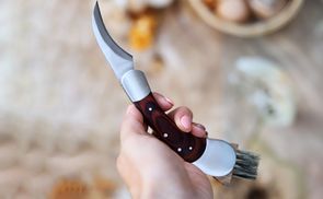 Das ideale Geschenk für Pilzliebhaber