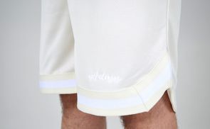 Navy Blue Mesh Shorts