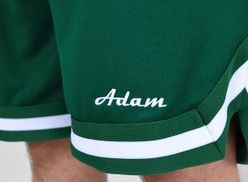 Green Mesh Shorts