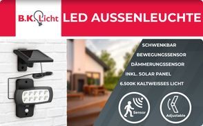 Bewegungs & Dämmerungssensor