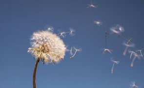 Leicht und praktisch