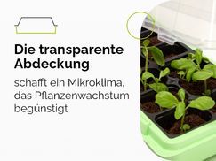 Die transparente Abdeckung