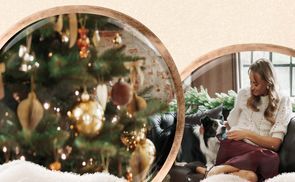  Mitten in der Weihnachtszeit