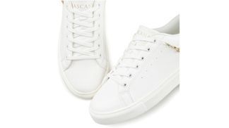 Vegan frei von tierischen Bestandteilen