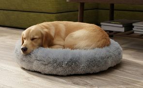 Modernes Design für Ihr Zuhause