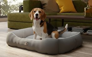 Pflegeleichte Materialien für den Alltag